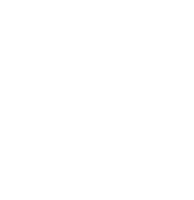 Google Premier Partner Logo