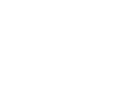 Shopify Partner Logo